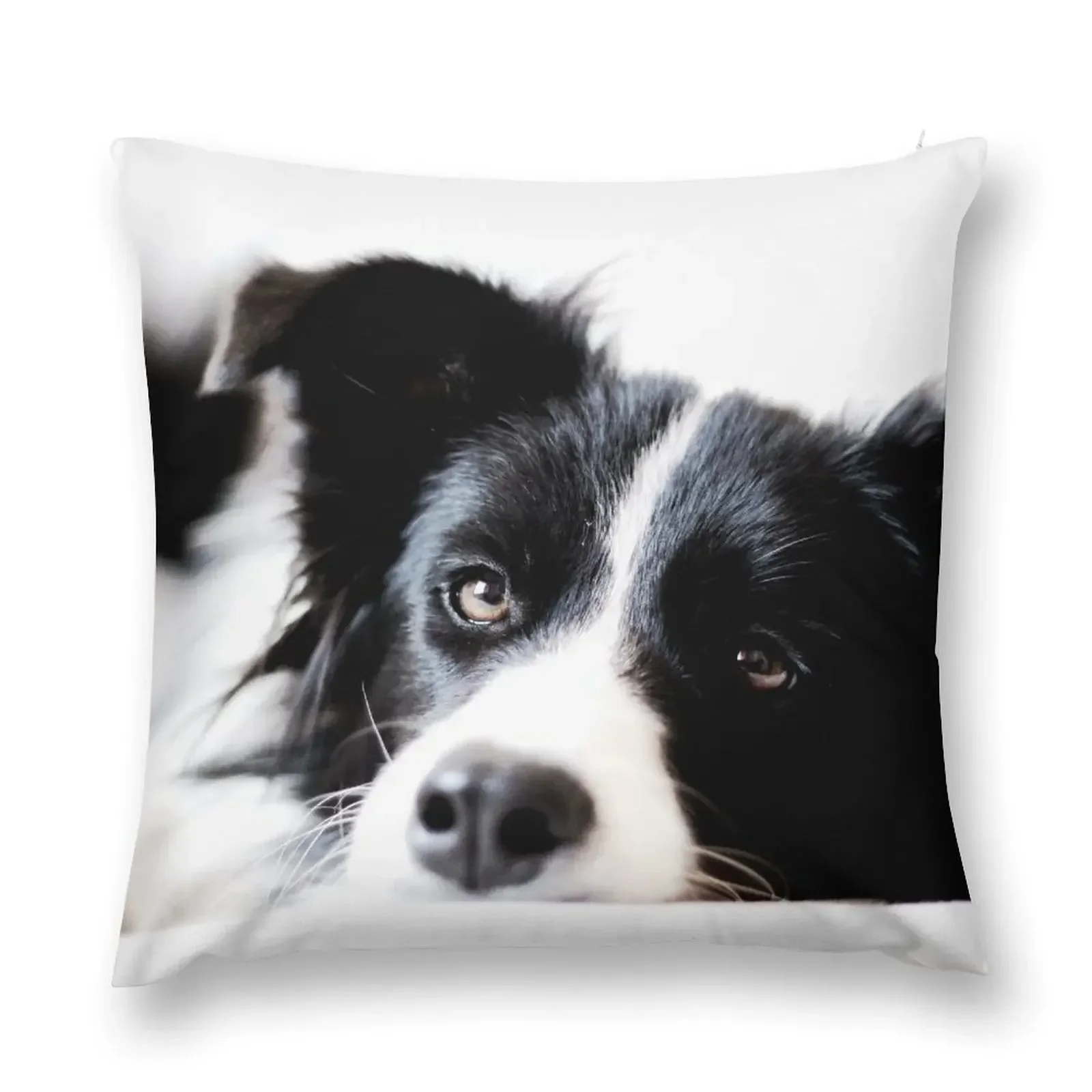 border collie Throw Pillow Pillow Decor Christmas Covers For Cushions Throw Pillow Covers Elastic Cover For Sofa