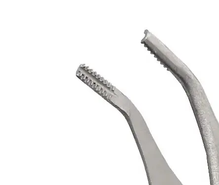 

Stainless Steel Curved Ophthalmic Tweezers with Tooth Slots for Cartilage and Fat Tissue Manipulation 12Cm