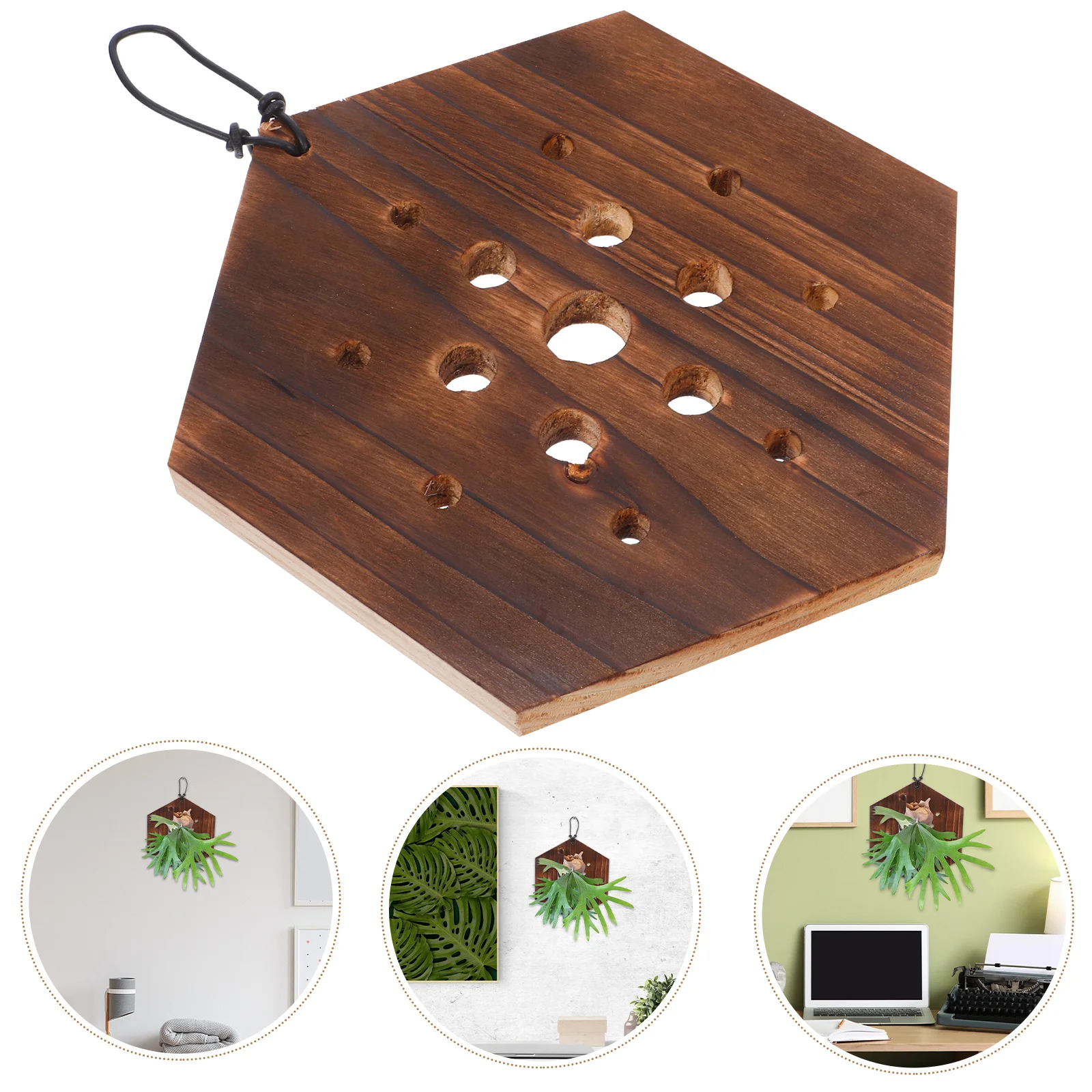 Staghorn Fern Hanging Board Garden Container Rustic Planting Basket Flower Pot Wall-mounted Display Panel