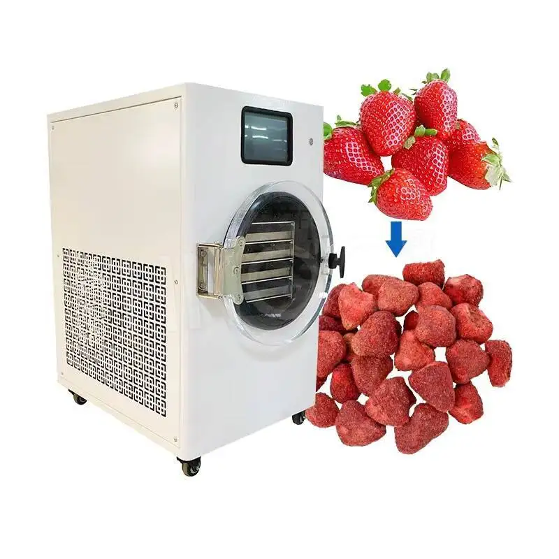 

HNOC Mini Lyophilization Hine Price Automatic Small Freeze Dryer Drying Equipment For Flower Home Lab