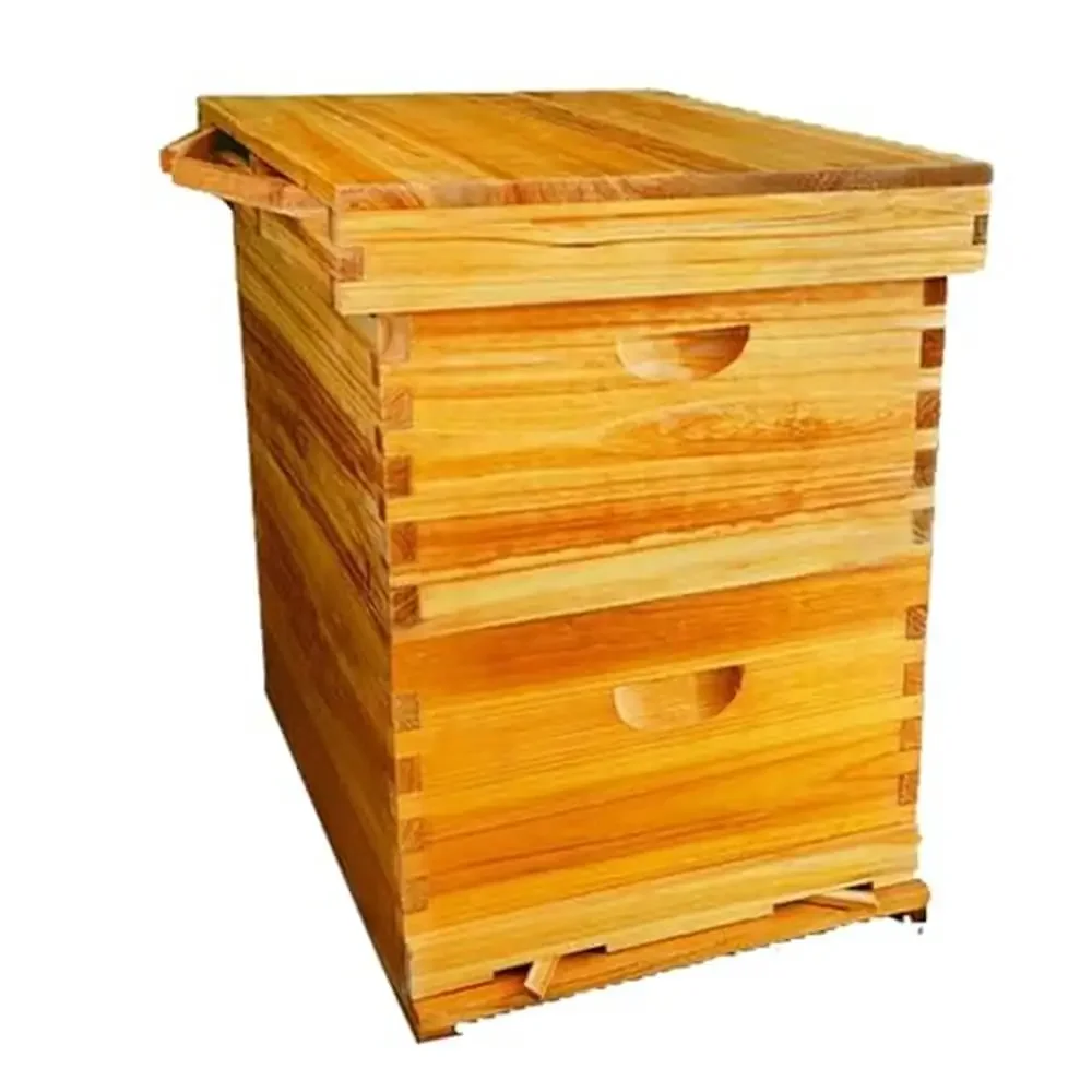 

Bee Hive Box Starter Kit 2 Layers 10 Frame with 20 Pack Foundation Frames Ventilated Bee Suit Beekeeping Supplies Beginners Kit