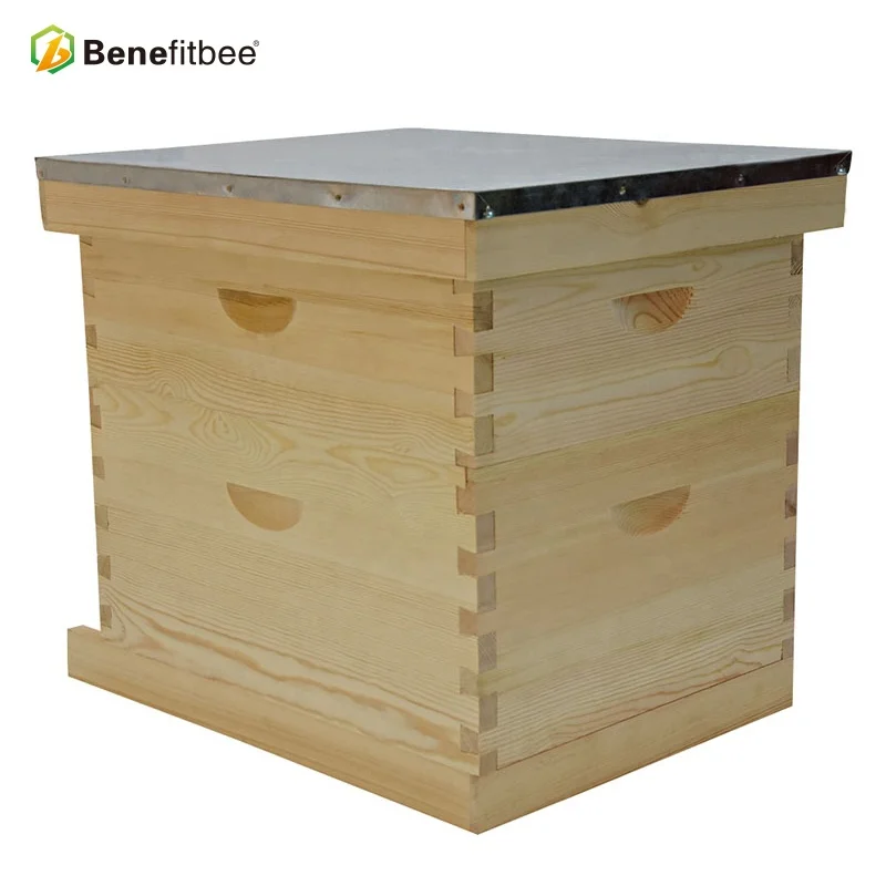 Benefitbee apicultural equipments bee box wooden langstroth hive for beekeeping