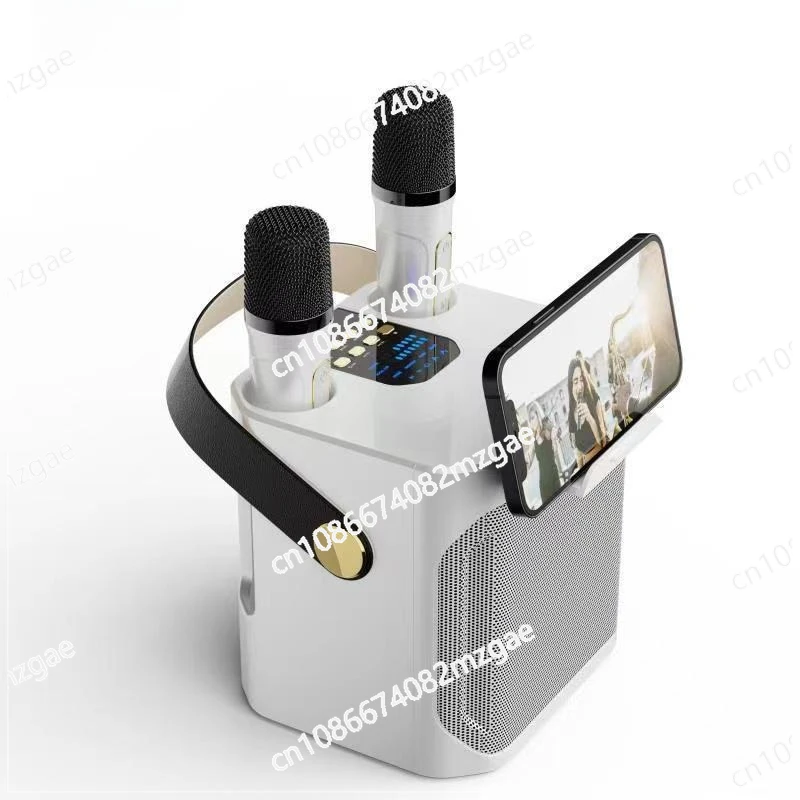 

Двойной караоке, портативный стерео семейный сбор, ужин на открытом воздухе, незаменимый портативный артефакт