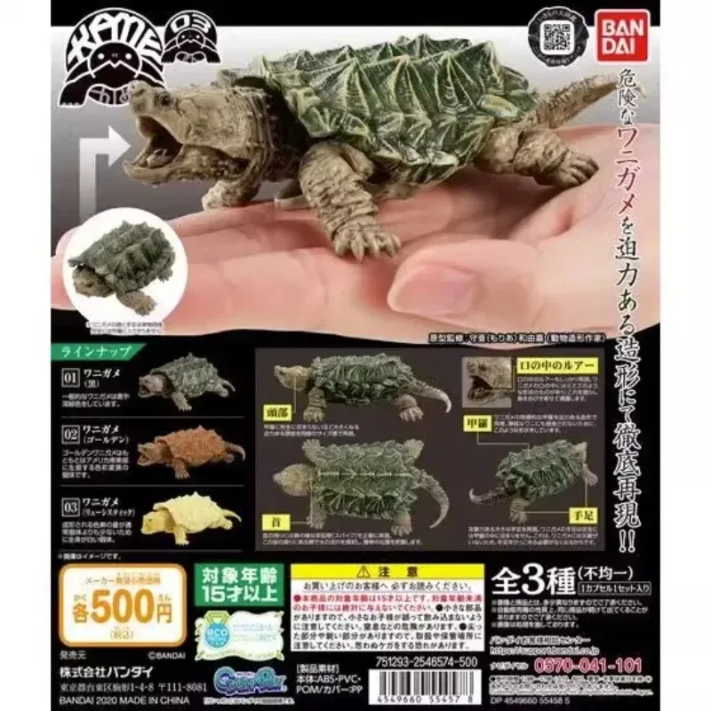 BANDAI-figura de Gashapon de Anime para reptiles, tortuga, tortuga Kawaii, modelo de acción, cápsula, juguetes, regalo para niños