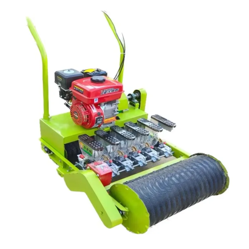 

Engine Drive 5 Rows Carrot Vegetable Seed Planter Farm Onion Planter