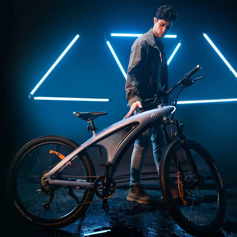 

48V Lithium Battery E-Bike, Q5 Mountain Electric Bicycle, 2-Wheel Commuter Assist Bike for Adults