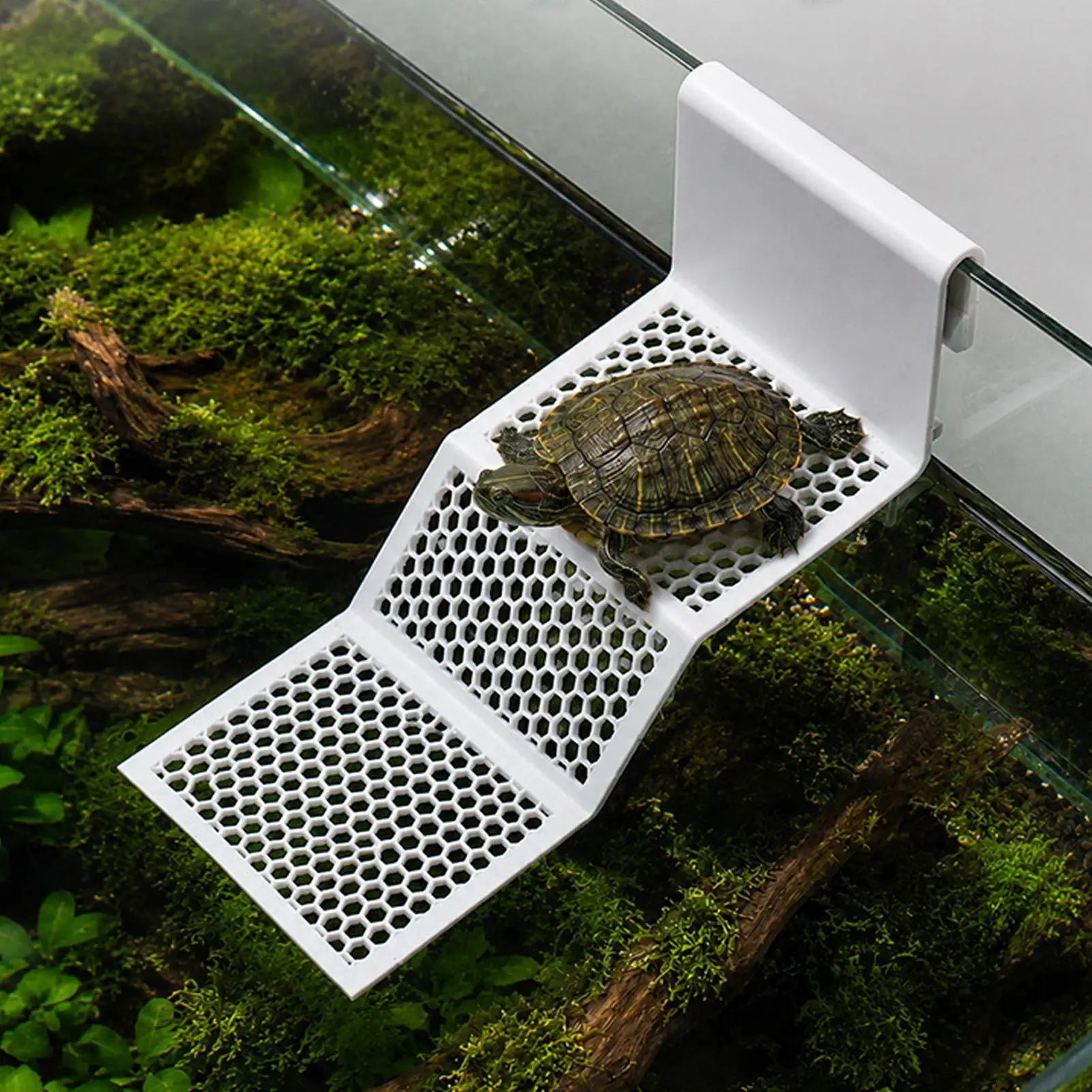 Adjustable Suction Cup Turtle Basking Platforms Hanging Reptile Resting Dock With Clip Aquarium Ramp For Turtle Frog Newt