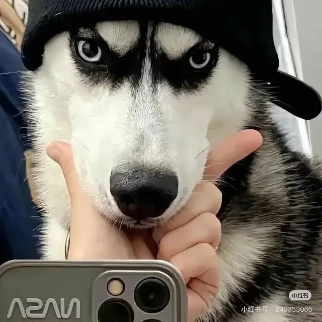 

Professional Water Hydra Dermabrasion Machine Oxygen Ice Blue Smart Jet Aqua Peeling, Microcurrent Bubble Facial Cleansing