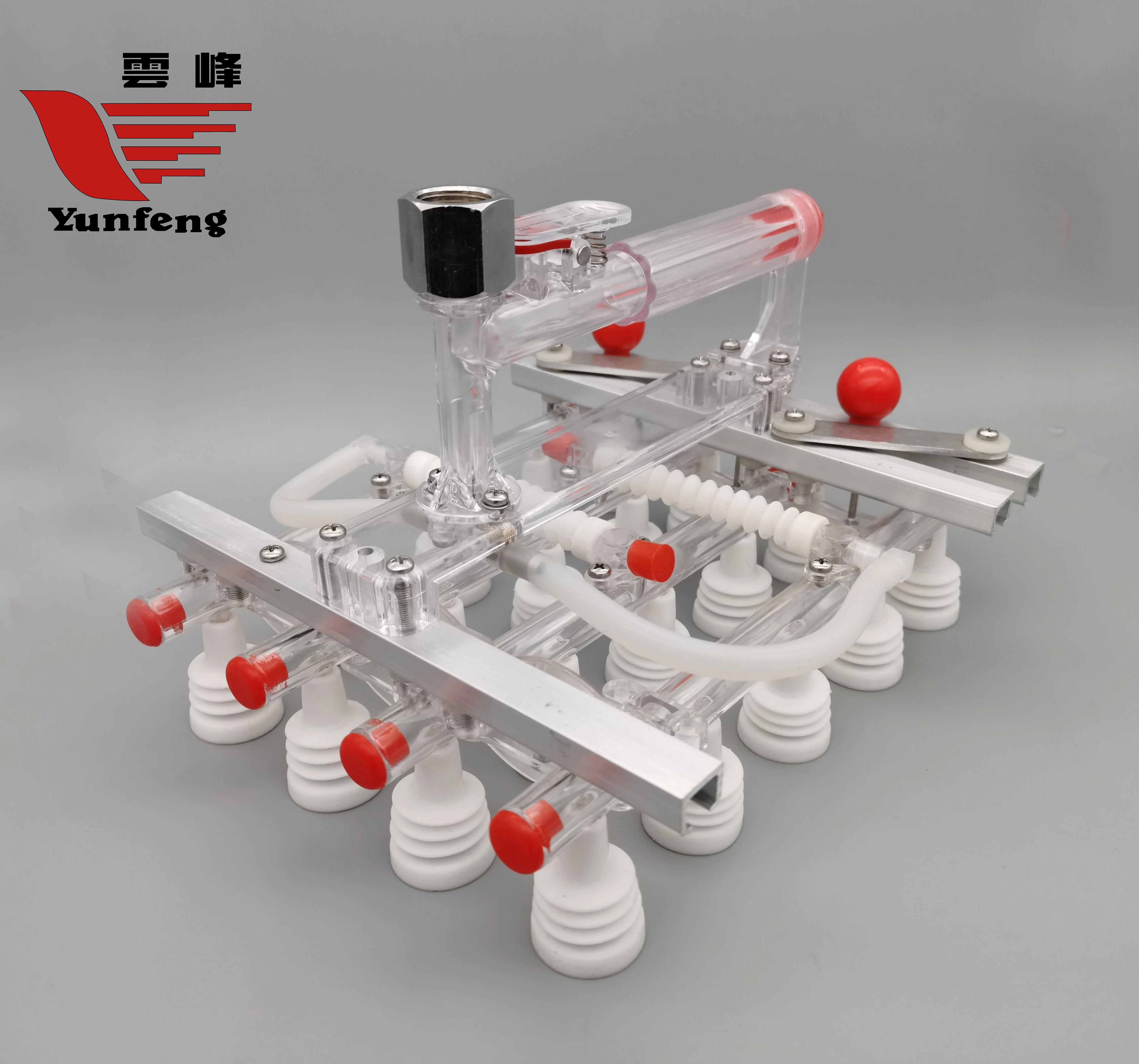 AIROW Vacuum Poultry Egg Lifter Duck Eggs V20DA Fixed Type Egg Lifter Yunfeng Manufactured China Common Use PS JW EU Standard