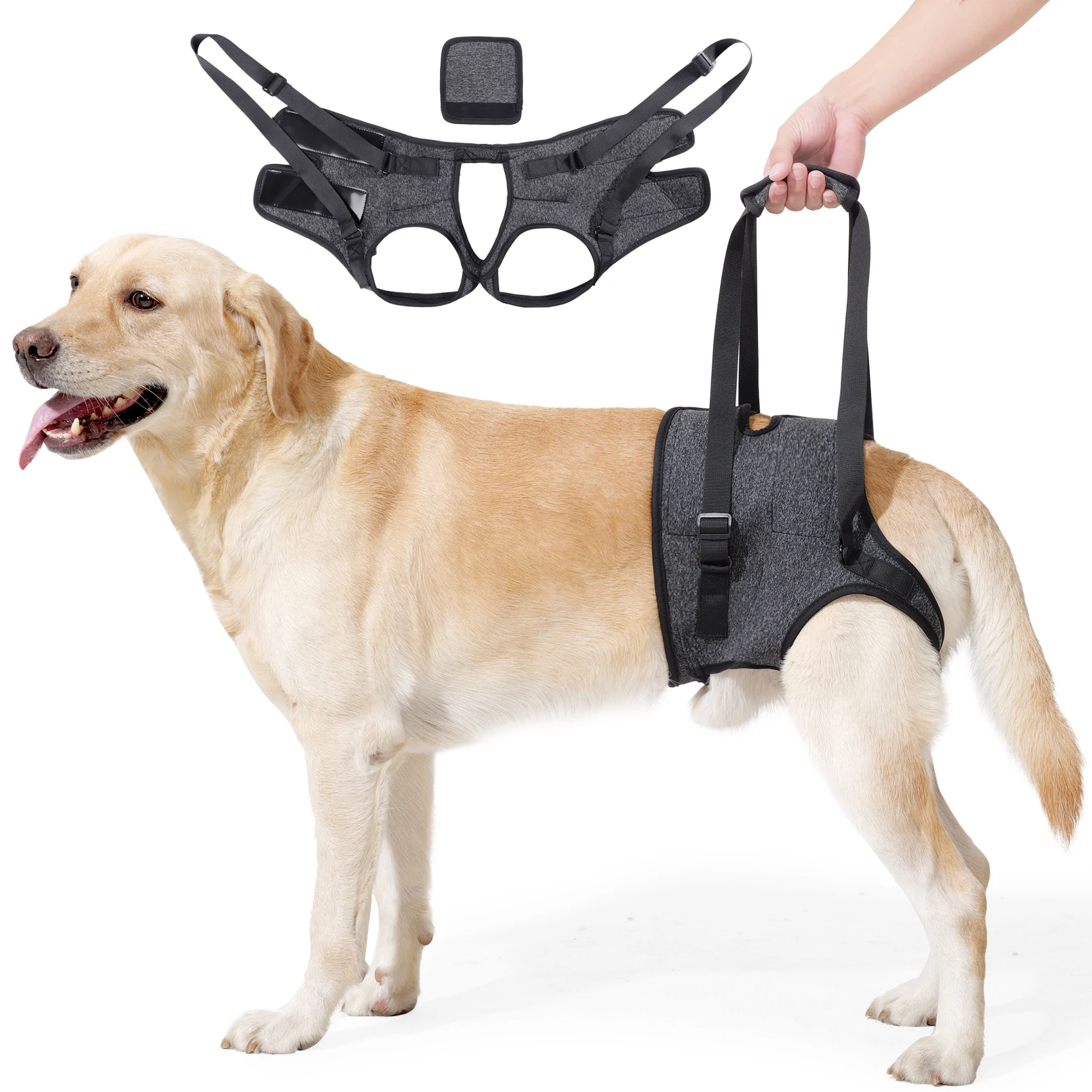 Verstellbares Hinterbein-Hebegurt für Hunde, Tragbare Gehhilfe für Ältere, Behinderte und Verletzte Hunde, Arthritis-Rehabilitation – Detail 1