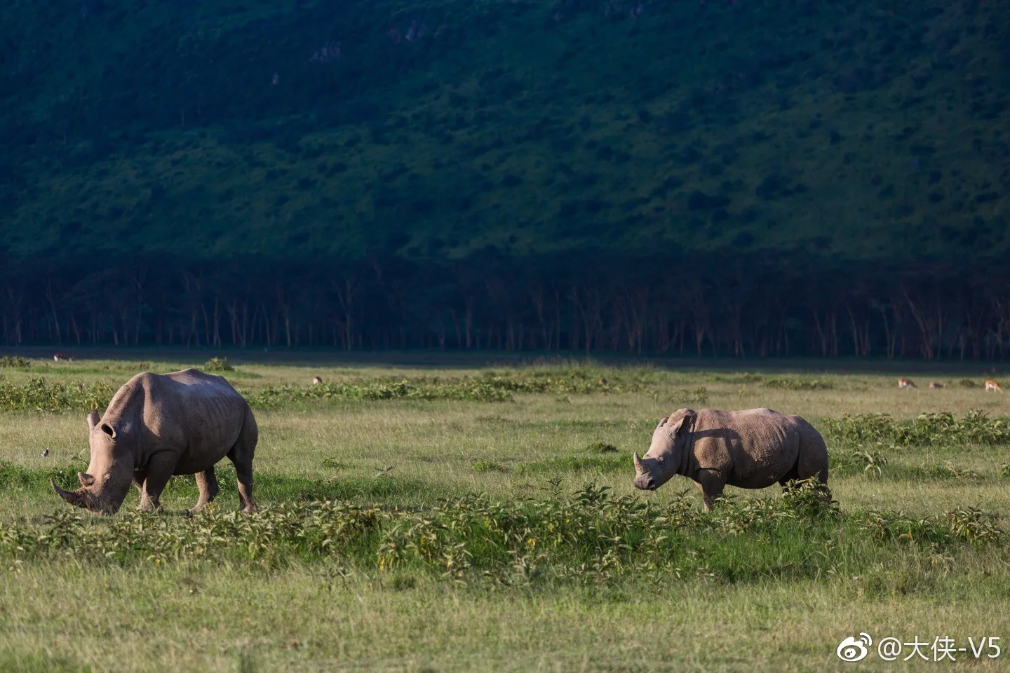 

Universal 4PCS RC Tires for 1/7 ARRMA Infraction Limitless FELONY, Fits FSRC Model GT 1/8 HuanNao X3GT, 17mm Hex On-Road Wheels