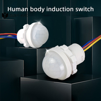 Sensor LED Switch PIR Infrared Motion Sensor Detection Automatic Sensor Light Switch Infrared PIR Probe LED Body Motion Sensor