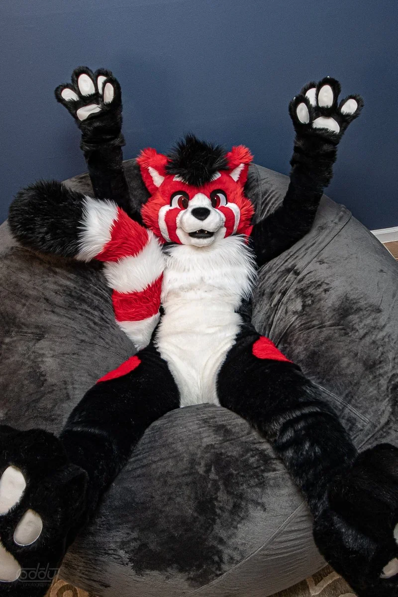 Red White Black Fursuit Husky Fox Dog Mascot Costume Animal Cartoon Character Outfit Suit Christmas Fancy Party