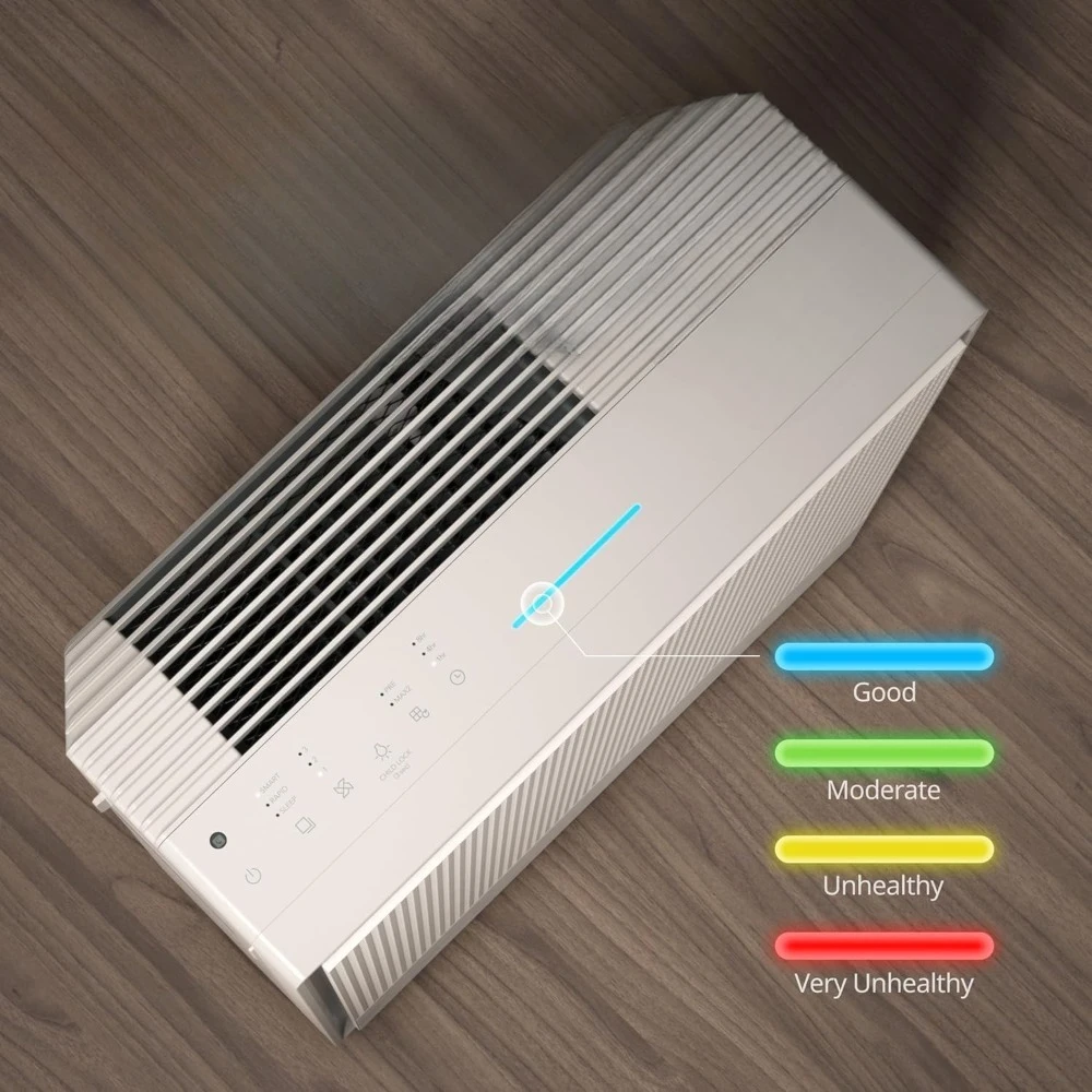 Air Purifiers For L…