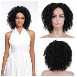 Lydia-pelucas sintéticas cortas onduladas para mujer, cabello mezclado de fibra resistente al calor, rizadas, línea de cabeza de encaje, onduladas al agua diarias