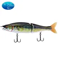 COLOR-BASS-002