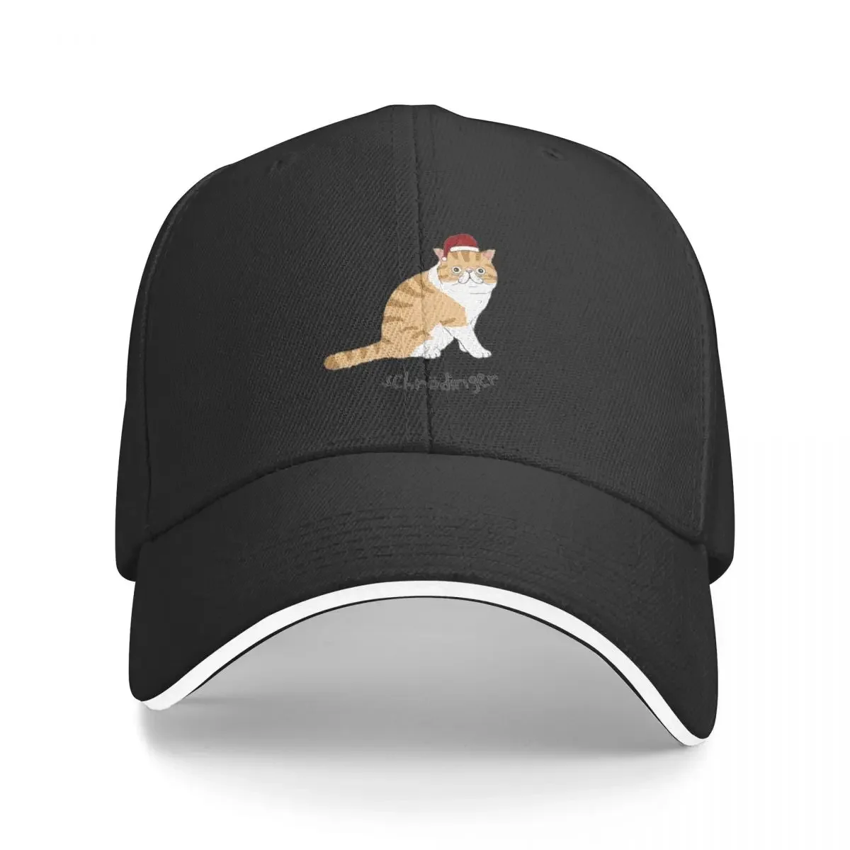 Schr?dinger Christmas Santa Cat Meowy Catmas Baseball Cap Wild Ball Hat western Hat Beach Bag funny hat Women's Beach Men's