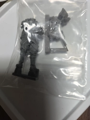 Buyer photo of this resin kit