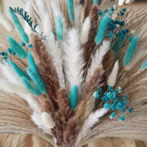 8 best sales शराबी पम्पास - №6