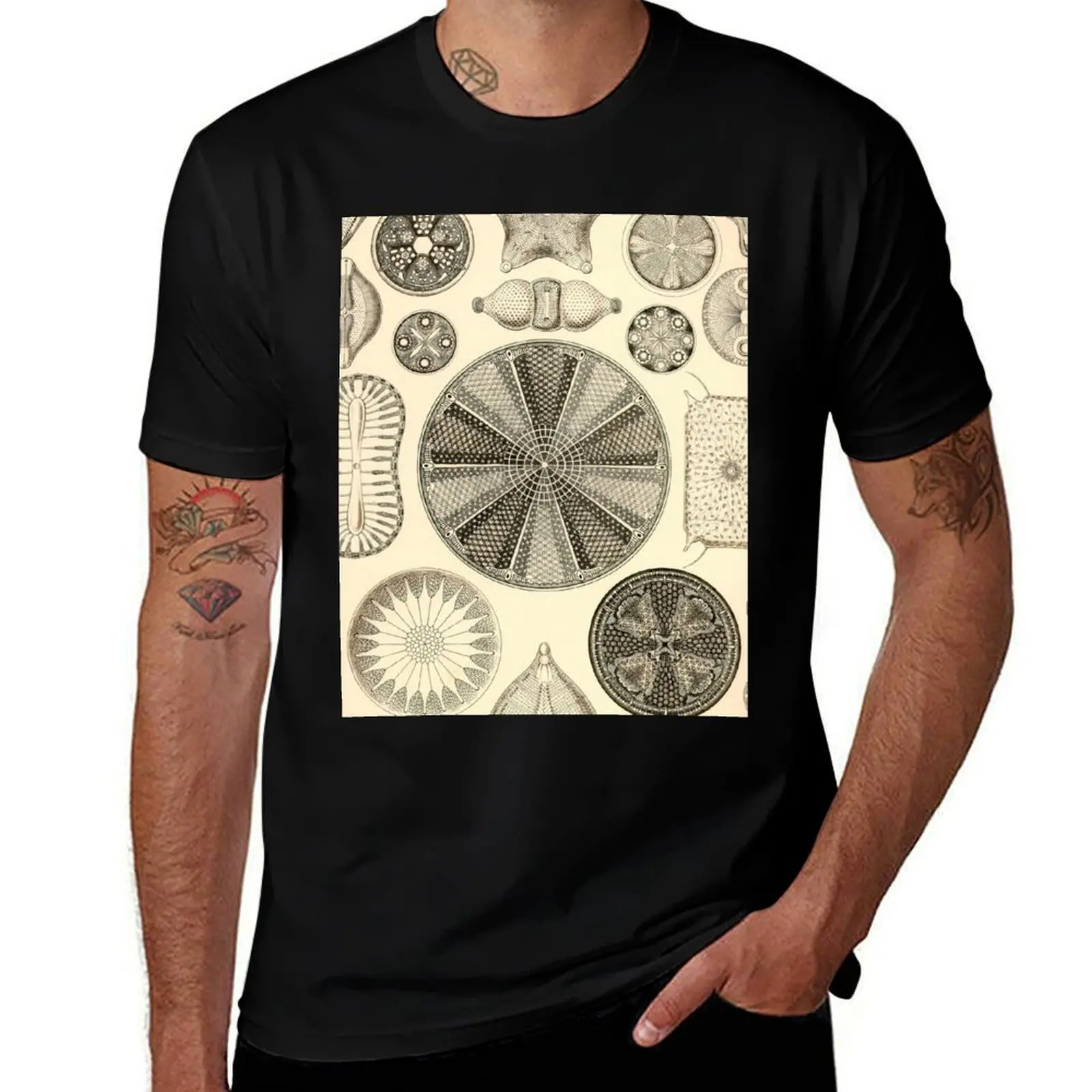 

Diatomea - Ernst Haeckel T-Shirt t shirts designer man t shirts for men casual