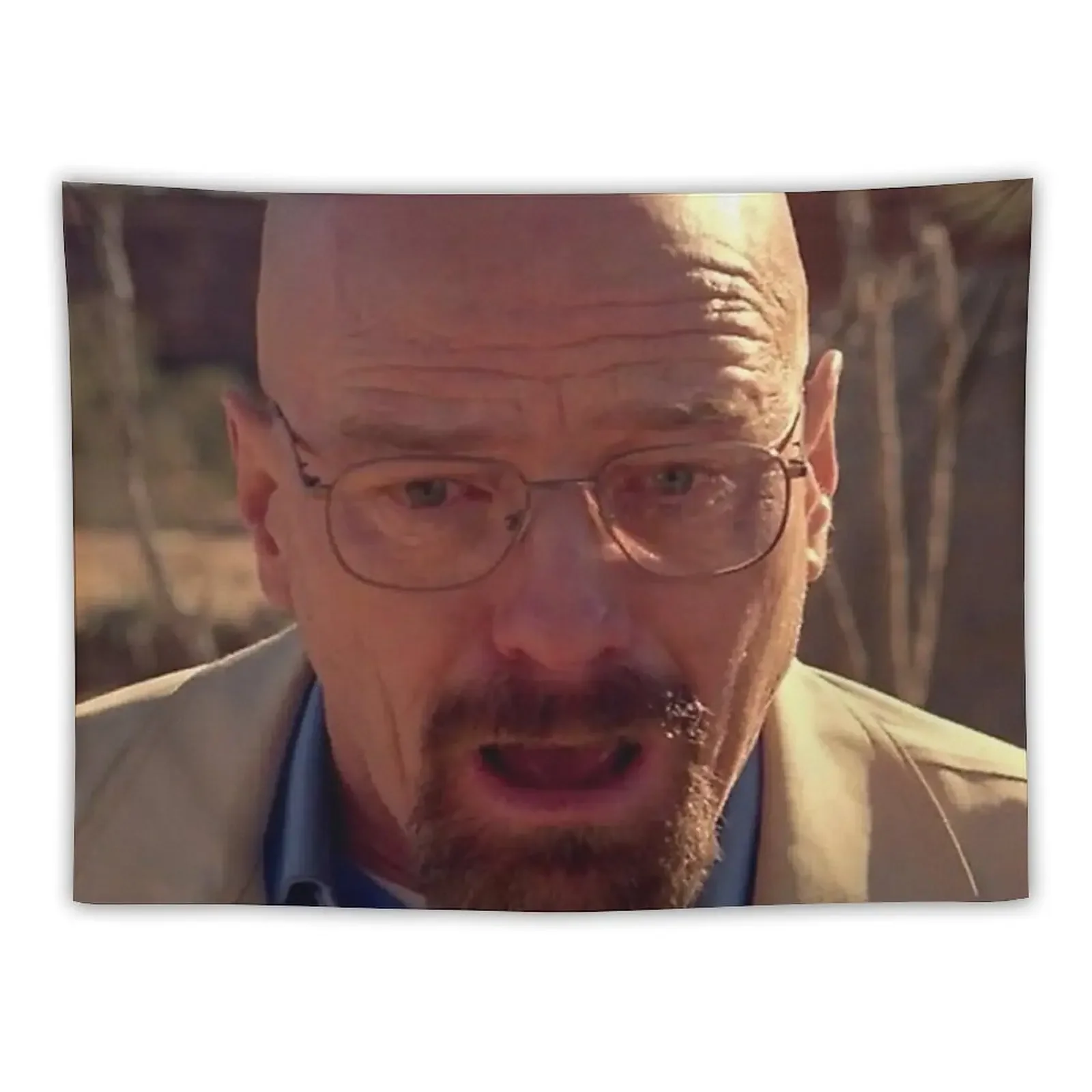 Walter White Meme Tapestry Carpet On The Wall Wallpaper Bedroom Cute Decor Tapestry