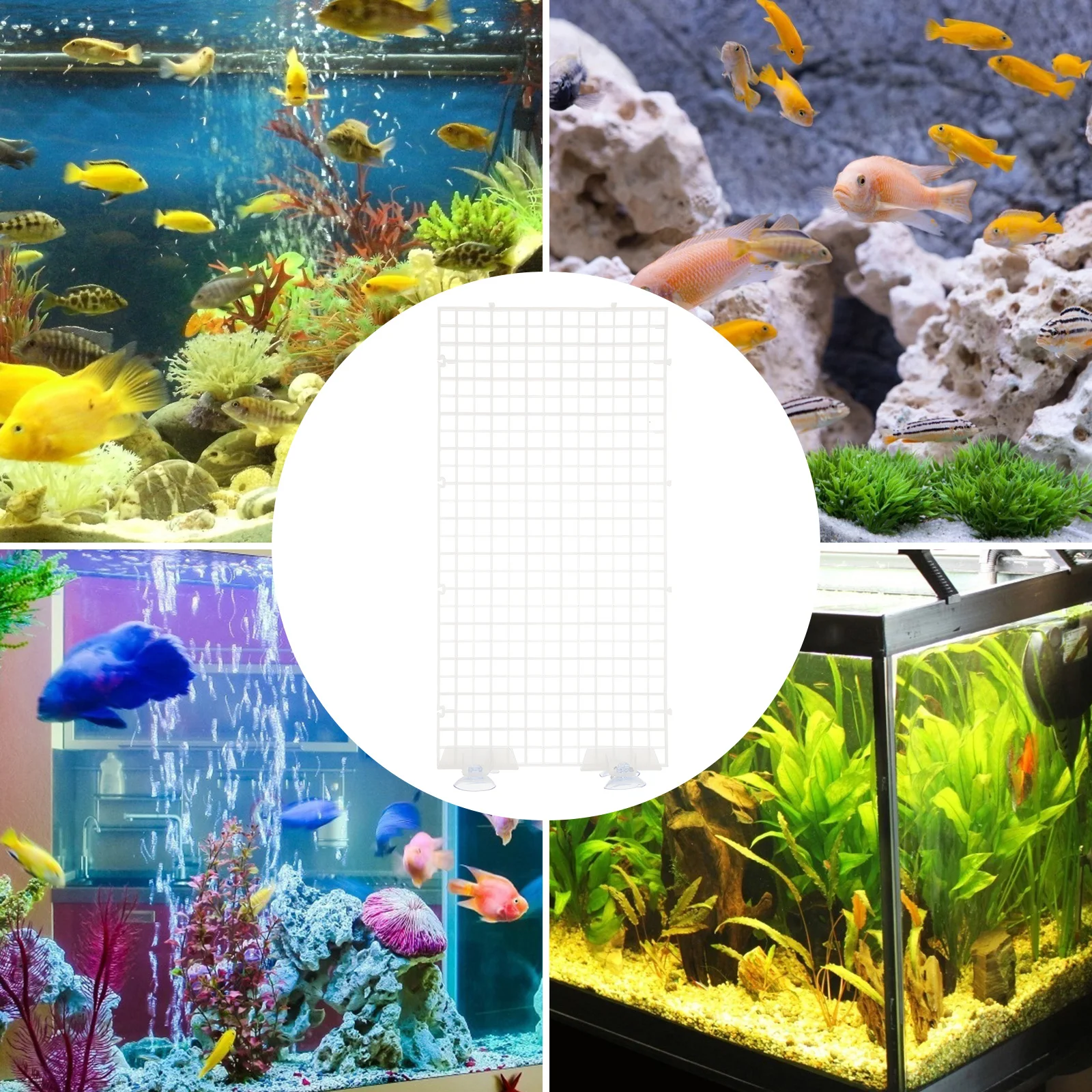 

Isolation Board Grating Betta Fish Tank Aquarium Separator Divider for Isolate Artificial