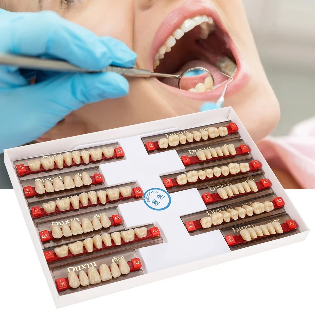 Dental syntetyczna żywica syntetyczna sztuczne zęby materiał dentystyczny proteza zębów materiały dentystyczne do nauki modelu protez