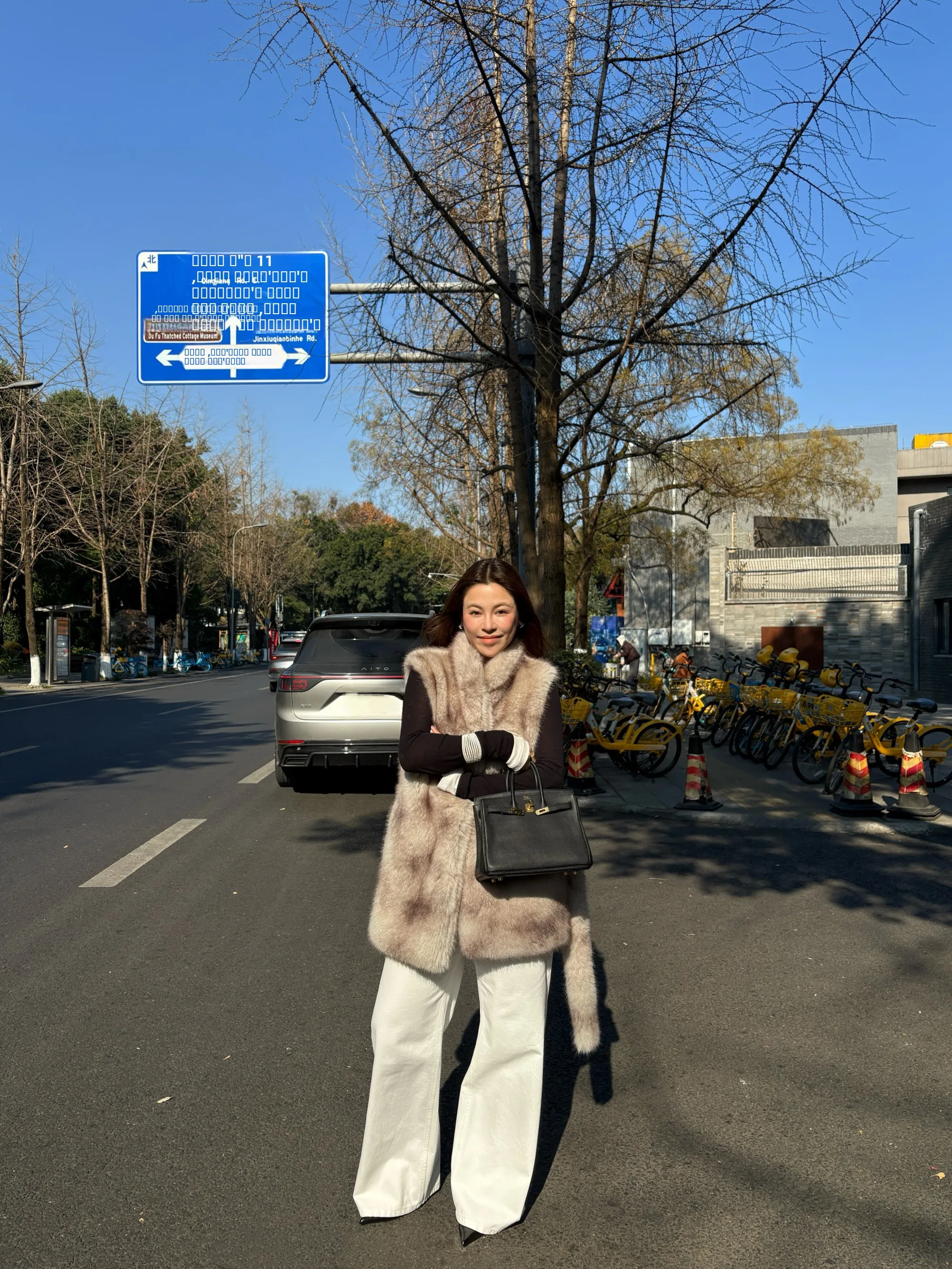 

Ретро-жилет из искусственного меха: Экологичный, теплый, однотонный, универсальный, утолщенный, прямого кроя