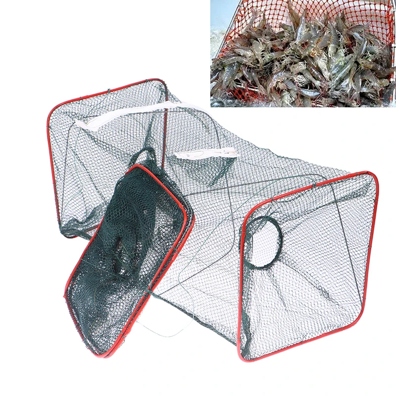 Thumbnail 4 - #6 Compare Fishing Traps Before You Buy