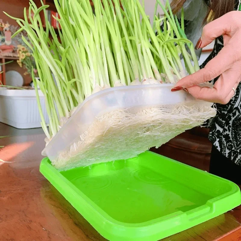 Seed Germination Tray Hydroponic Sprouting Tray Double Layer Fine Mesh Seed Starter with Water Reservoir for Garlic Wheat Indoor