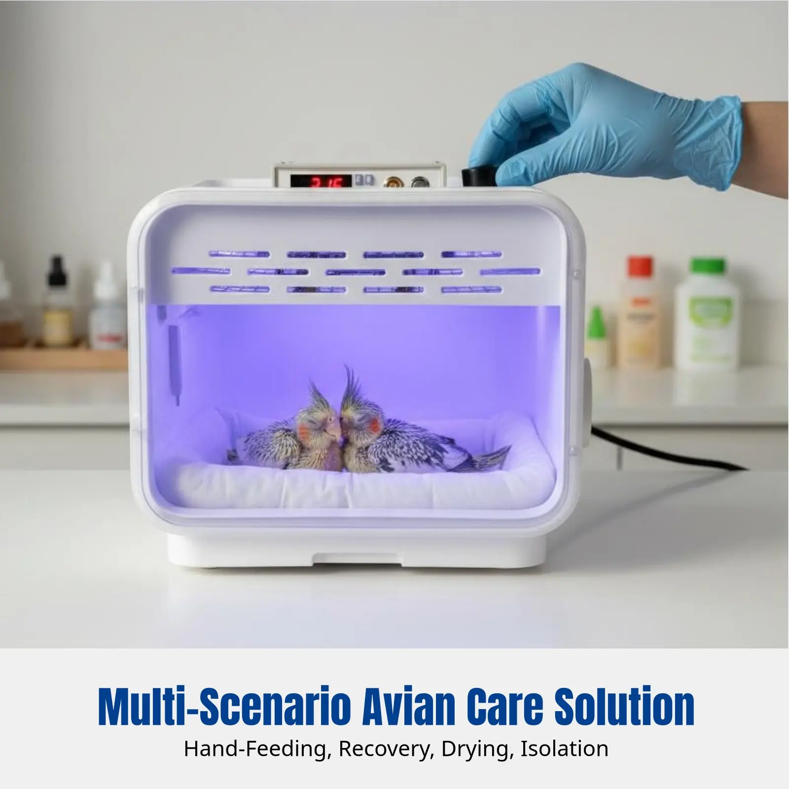 

Avian Incubator, PID Variable Warm Air, For Parrot Chicks, Monk Parakeet, Cockatiel, Low Noise