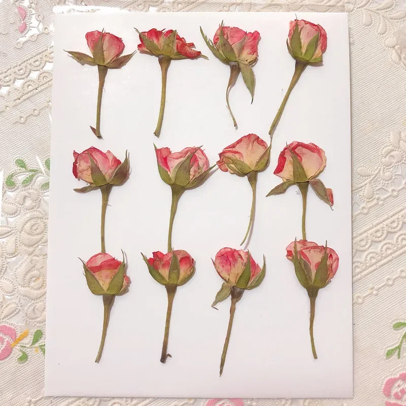 12pcs/3-5cm,Side Pressed Pink Yellow Red Mini Rose,Dried Flower DIY Glue Dripping Phone Case Photo Frame Bookmark Card Material