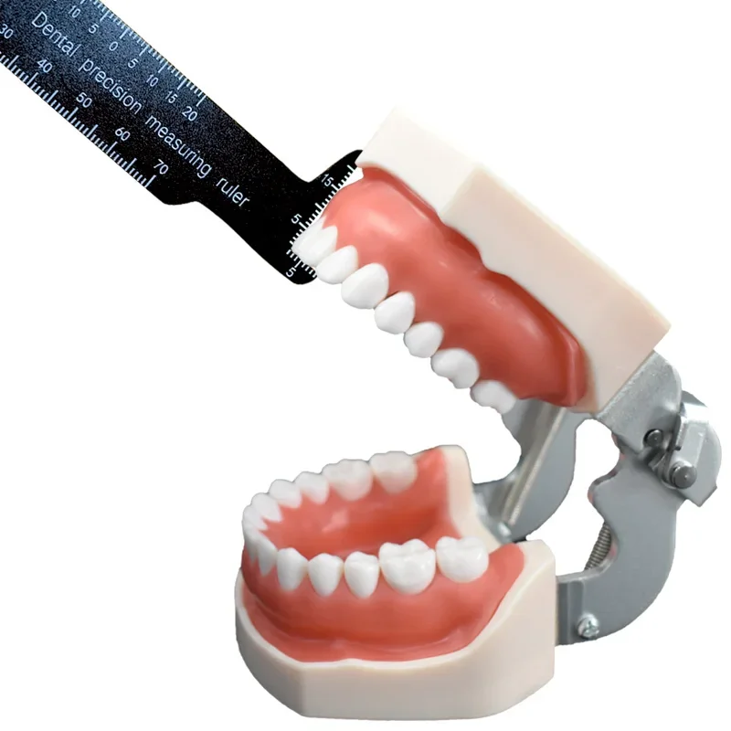 Régua dentária de alta precisão para medições precisas dos dentes, aplicações ortodônticas e fotografia dentária