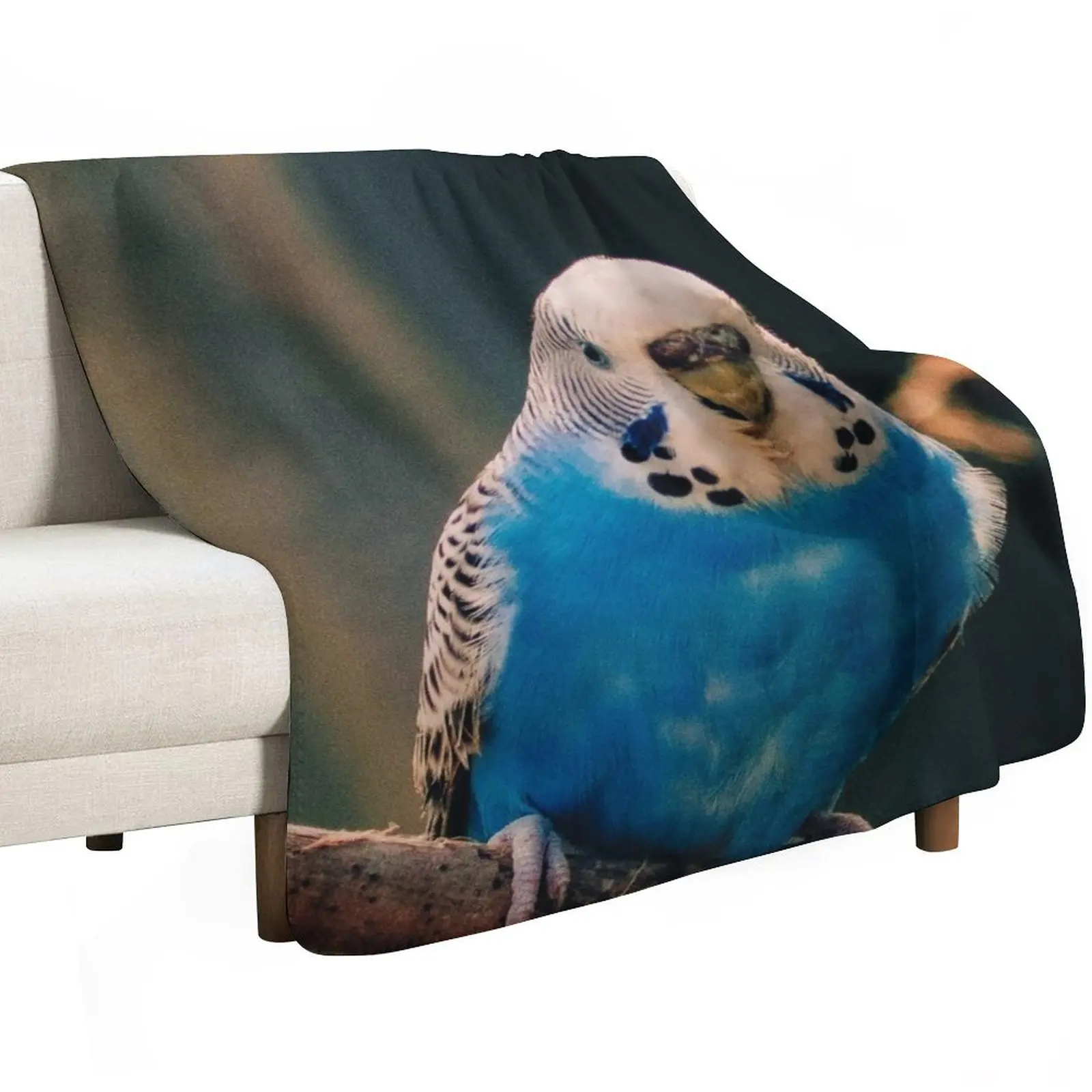Blue Budgie Photo Throw Blanket Men's Soft Warm Throw Blanket for Couch
