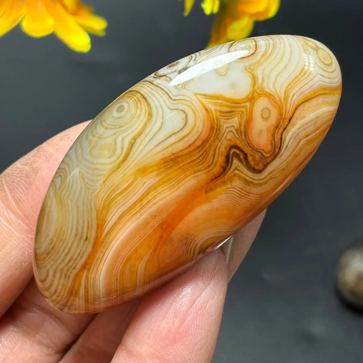Large Banded Agate Pocket Stone, Desert Treasure, Polished Tumbled, Shelf Display, Natural Stone, Crystal Collection