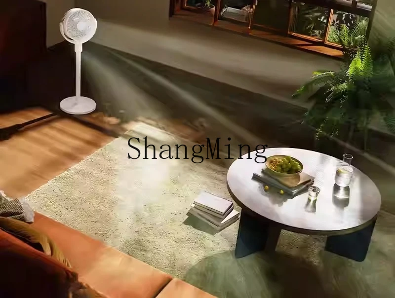 ZYY ventilatore per la circolazione dell'aria domestico silenzioso conversione di frequenza CC ventilatore da pavimento efficienza energetica di prima classe