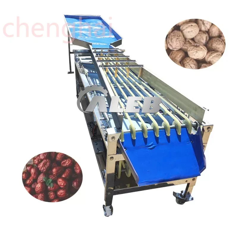 PVC belt fruit grading machine for blueberry electric blueberry sorting machines