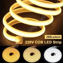 220V COB LED Strip Light 288 LEDs/M 3000K-6000K Soft flessibile Tape Light IP65 impermeabile EU Plug per la decorazione di illuminazione domestica