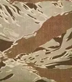DTS