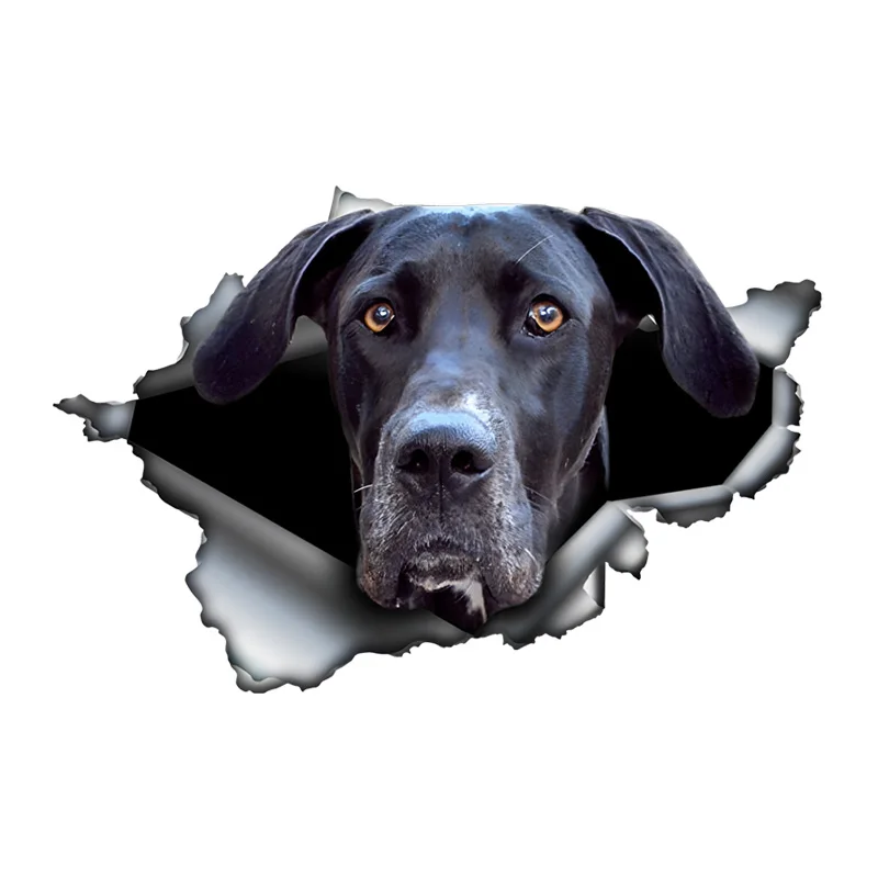 DK386# Black Great Dane Car Stickers Scratch Blocking Self-Adhesive Waterproof Decal, Used for Car, Laptop, Motorcycle, Van, RV
