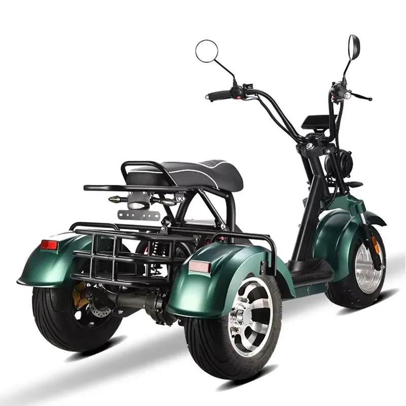 STROVAN EU Type 2000w 12ah/20ah/45ah Big Tire 3 Wheel E Scooter Coc Electric Adult