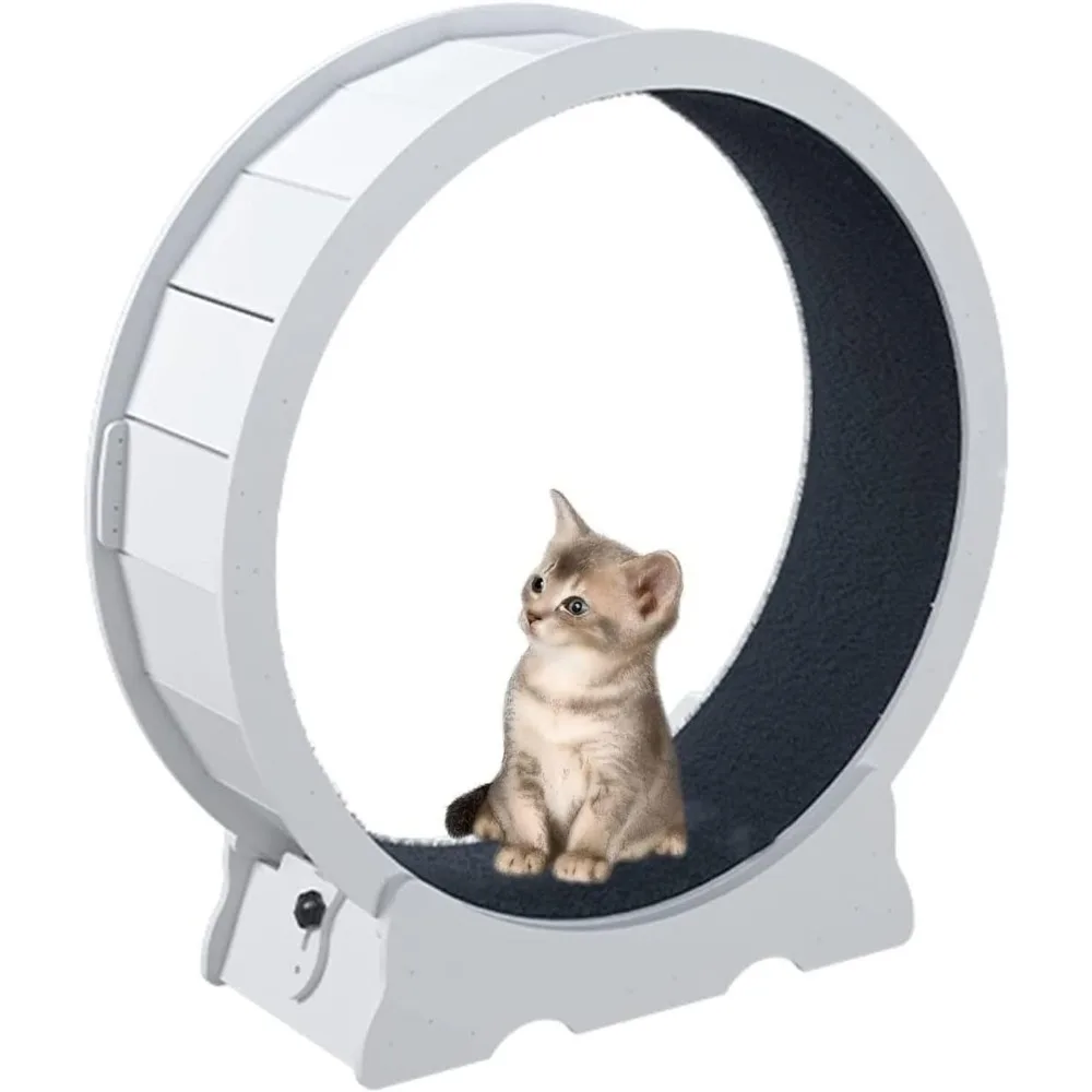 

The Ultimate Cat Toy, Provide Exercise and Mental and Physical Stimulation and Can Help with or Maintenance, 44.5x14.2x47.2in