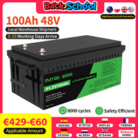 Ddtouboss 48v Lithium Battery 100Ah Peak Discharge Current 500A With Smart BMS Use for Inverters PV RV