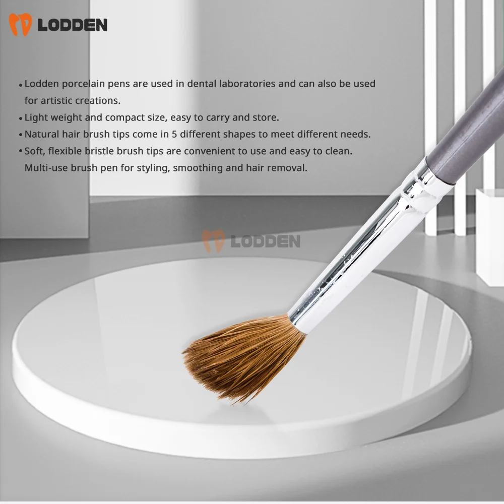 Stylo Dentaire en Porcelaine à 100% de Poils de Vison, Brosse en Résine, Outil de Laboratoire à Dents Composites Adhésives en Silicone