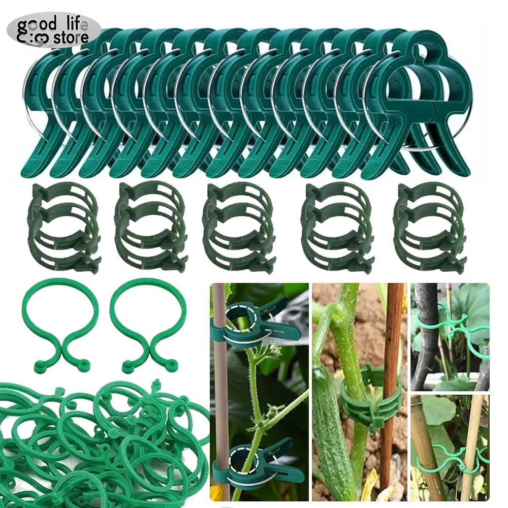 

20pcs Garden Vine Strapping Clips Plant Bundled Buckle Ring Holder Tomato Garden Plant Stand Tool Gardening Supports Tools