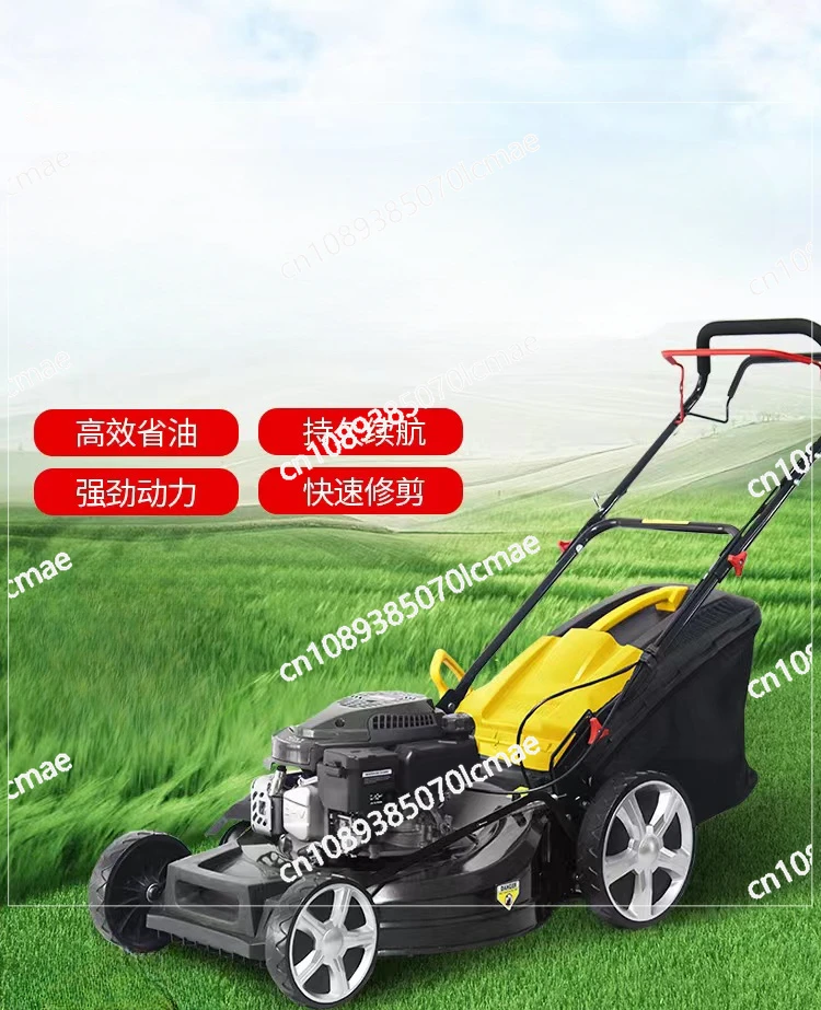 

Gasoline Self-propelled Pusher Orchard Lawn Mower Hand Push L