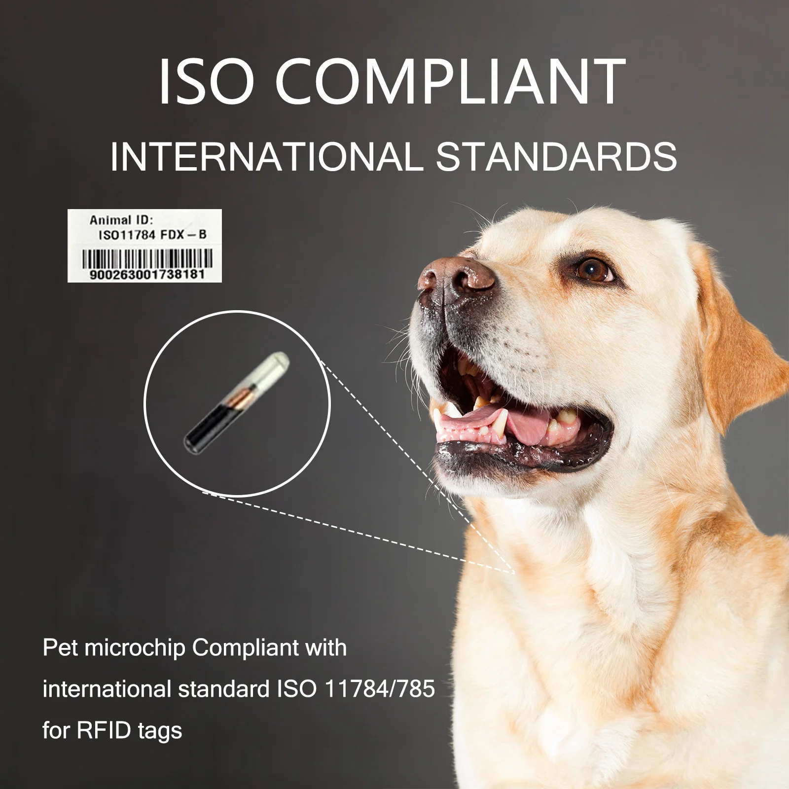 Imagem -03 - Seringa Padrão Universal para Microchip de Animais de Estimação 20 Pacotes 134.2khz Iso11784 Fdx-b Etiquetas de Identificação de Animais de Estimação Microchip de 15 Bits para Cachorro Gato Porco