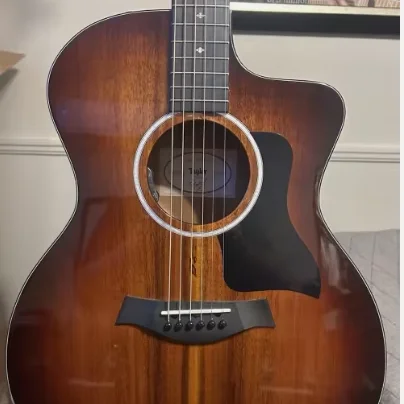 

Tay-lor 224ce Mahogany Special-Edition Grand Auditorium Acoustic-Electric Guitar Trans Red