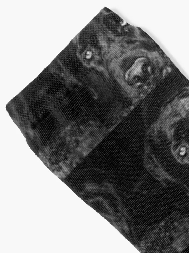 Schwarze Labrador Retriever socken