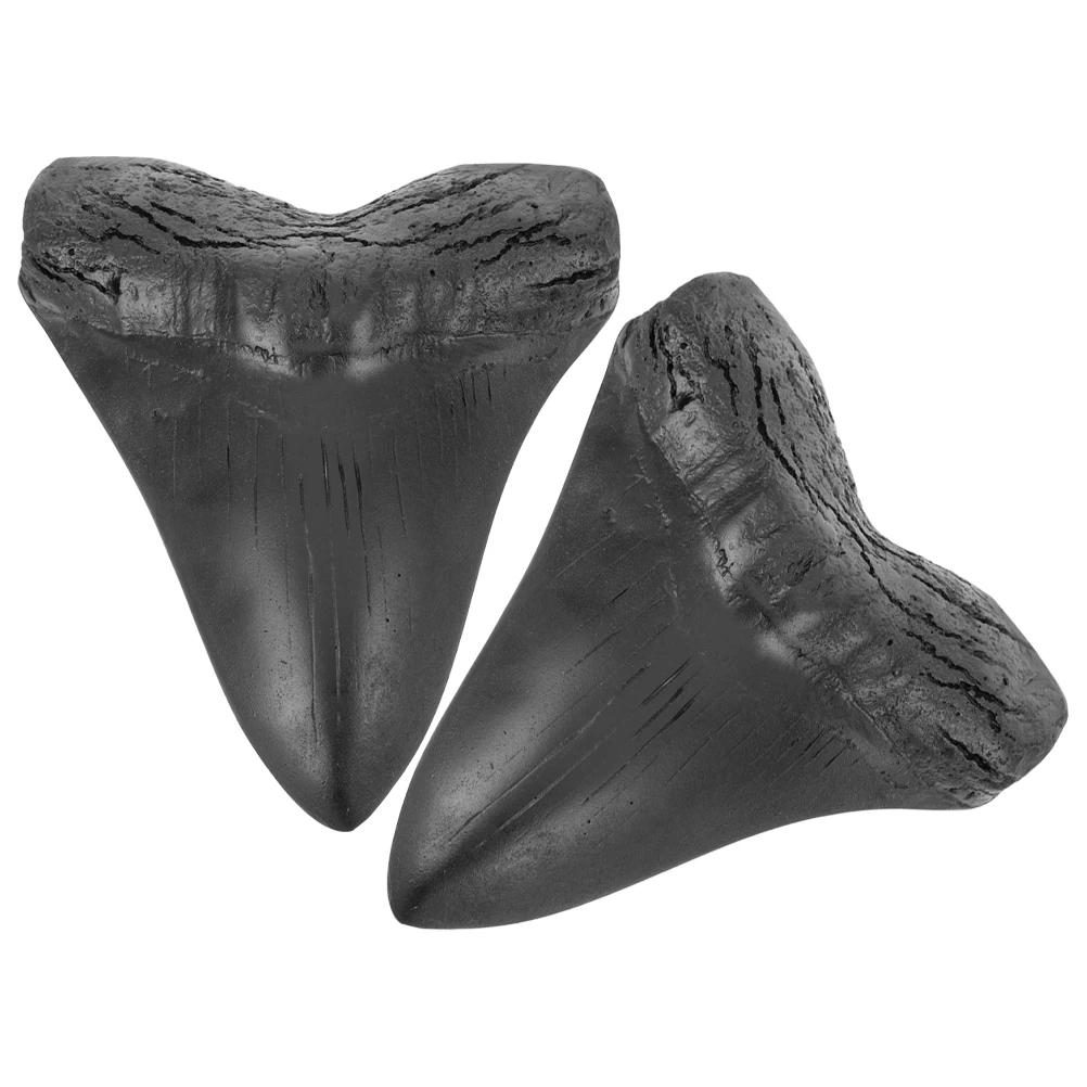 

2pcs Decor Giant Shark Model Resin Craft Paleontological Home Artware